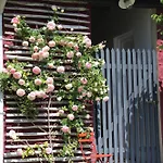 Le Petit Ru 10 Mn De Giverny Saint-Marcel (Eure)