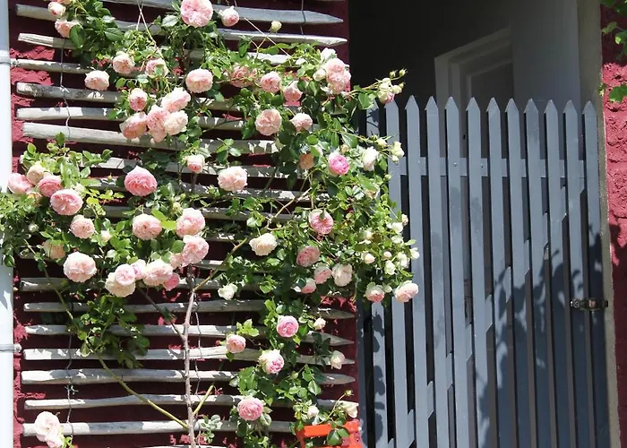 Le Petit Ru 10 Mn De Giverny Saint-Marcel (Eure)